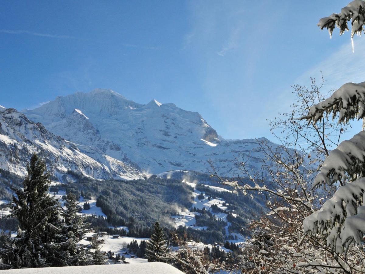 Apartment Sulegg Wengen Eksteriør bilde